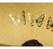 Papierové zápichy Motýliky 12 ks
